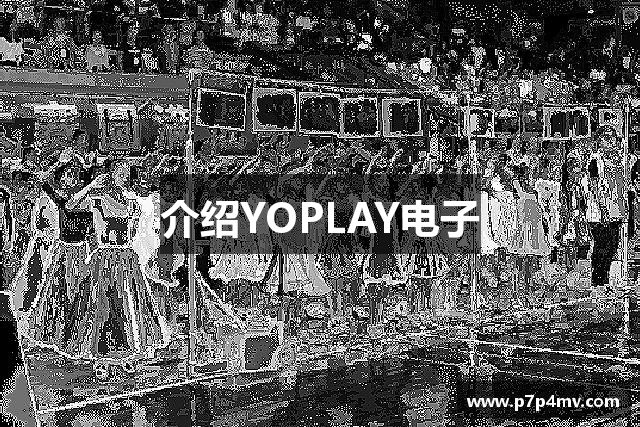 介绍YOPLAY电子